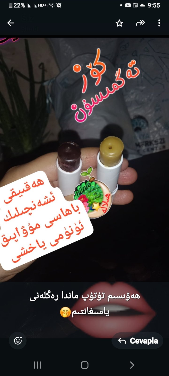 ھالال لەۋسۇرۇق