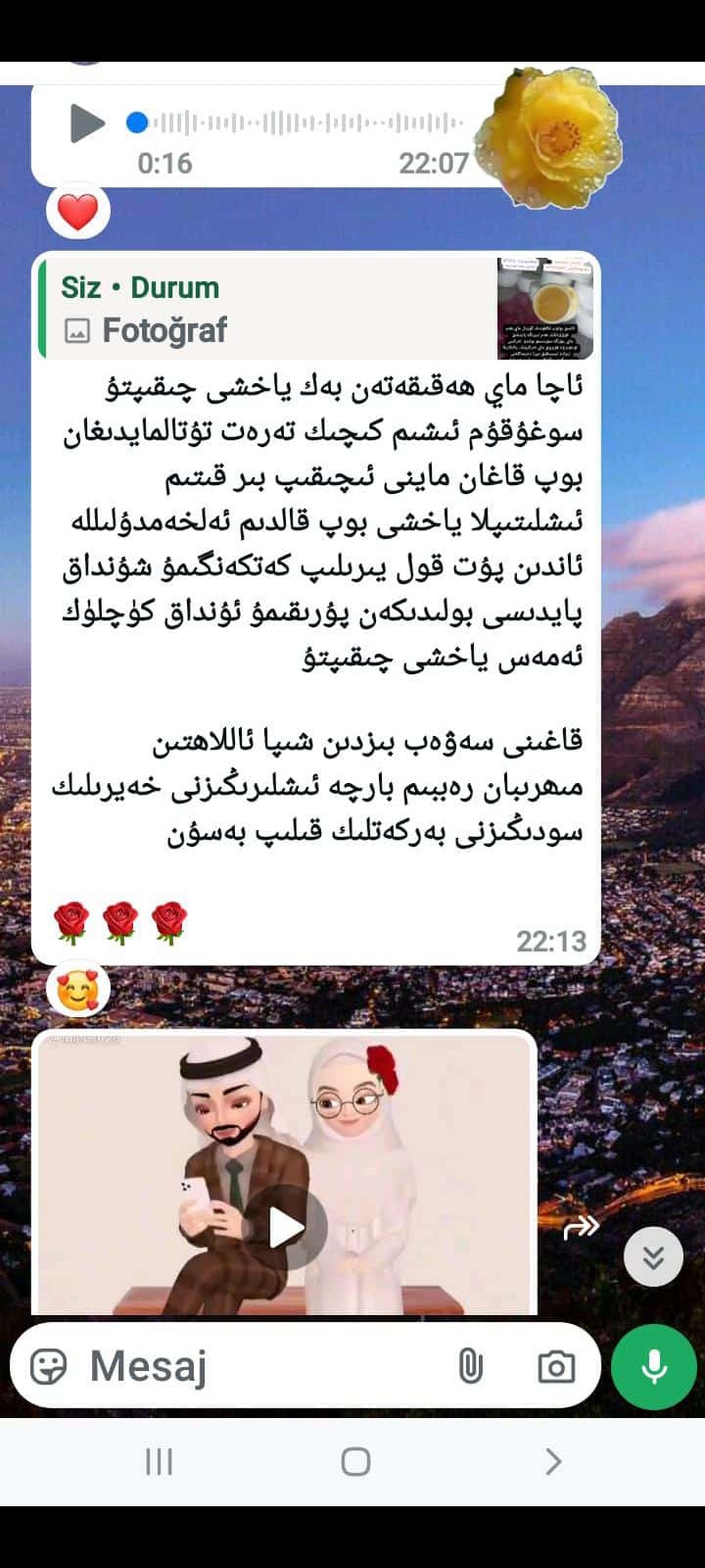 نازۇكلار ئۇۋلىنىش مىيى